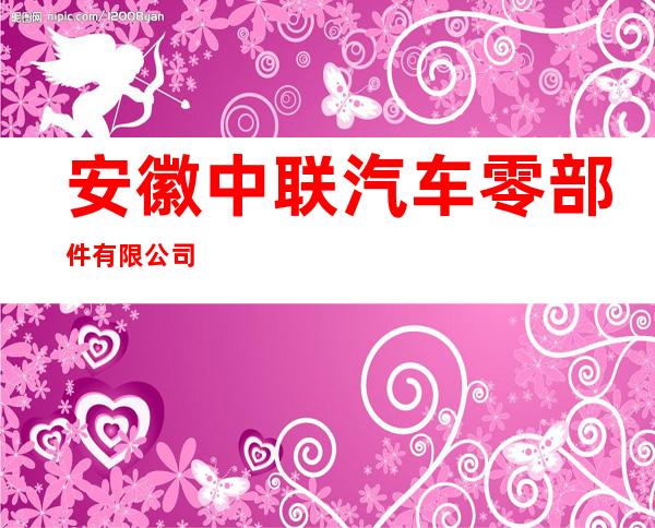 安徽中联汽车零部件有限公司